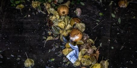 Plastic in compost