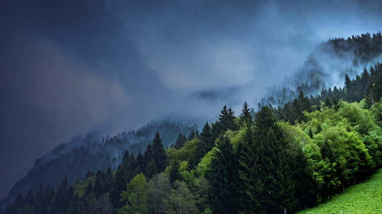 wooded mountain with clouds and fog