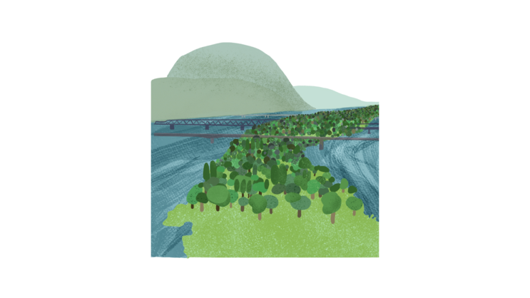 Illustration relating to the theme of the unit: The Danube Island in Vienna is depicted with its many trees, the blue Danube on either side, and the hills of the Vienna Woods in the background