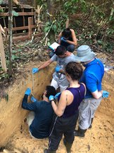 The group of researchers in a soil sampling pit with the forest in the background.