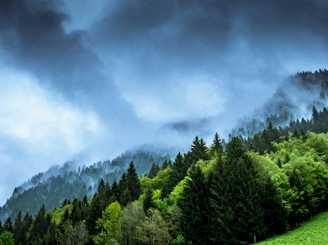 wooded mountain with clouds and fog