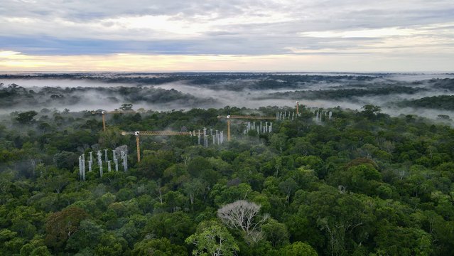 The Amazon rain forest from above, with the clouded sky in the background