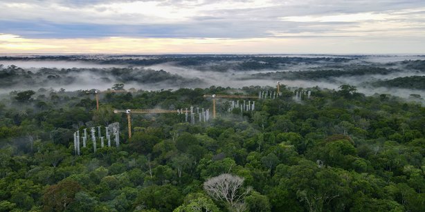 The Amazon rain forest from above, with the clouded sky in the background