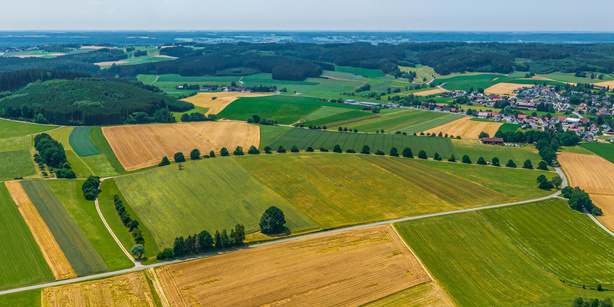 Farm fields of different color from above