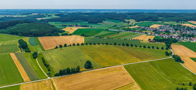 Farm fields of different color from above
