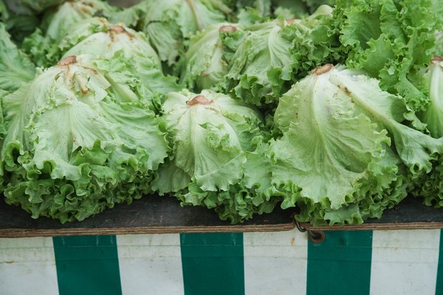 Head of lettuce on a market table.