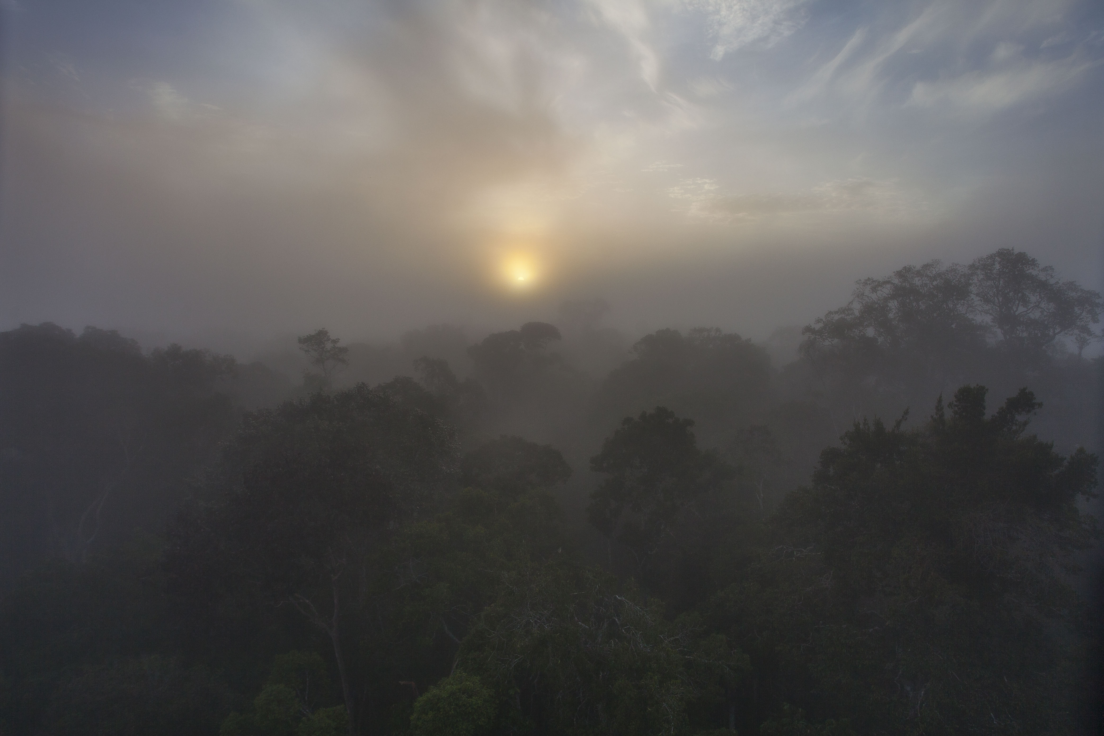 The sun over the Amazon, hidden behind a thick cover of clouds dimming its' light.