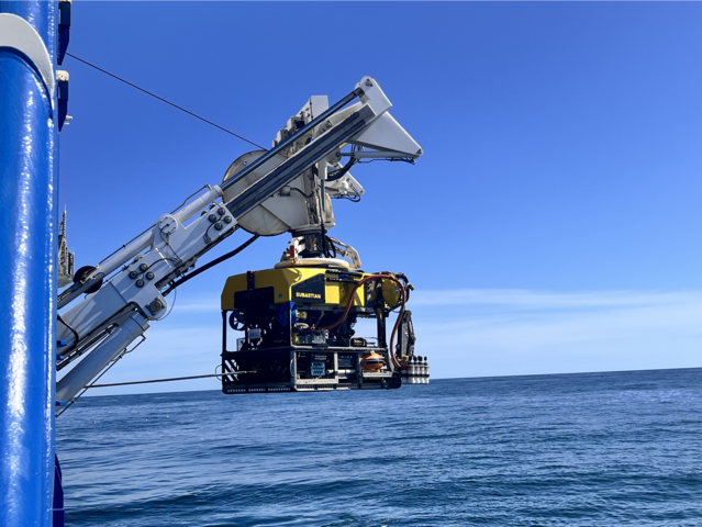 Unmanned submarine deployed into the sea