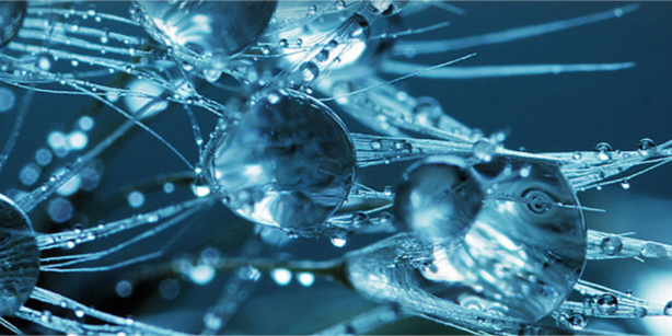 Microscopic photo of fibres with small droplets on them
