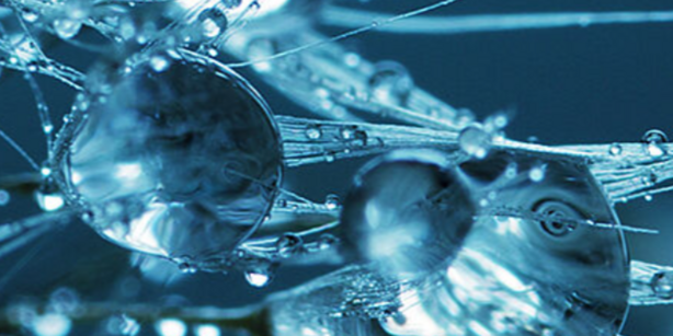 Microscopic photo of fibres with small droplets on them