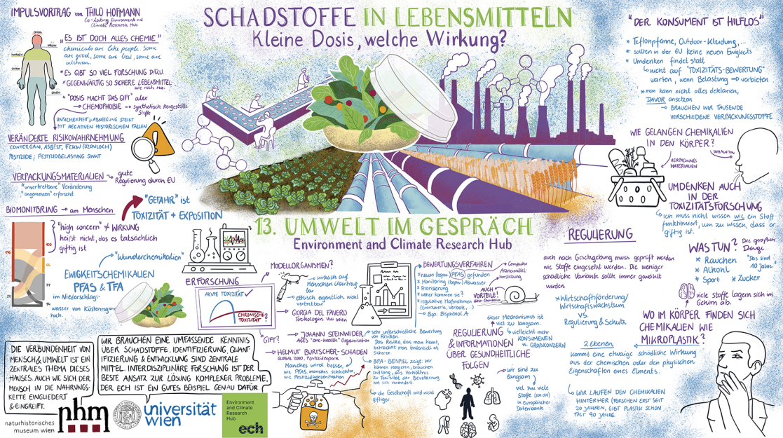 Graphic Recording zum Thema "Schadstoffe in Lebensmitteln", das bildlich und in Worten die diskutierten Themen zusammenfasst.
