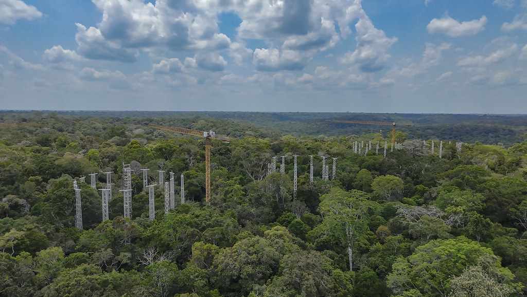 Amazon rain forest from above with the sky in the background