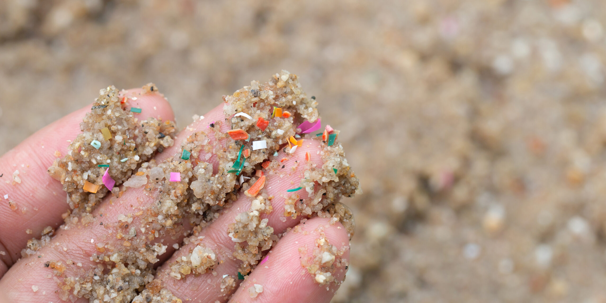 Close-up side shot of hands shows microplastic waste contaminated with the seaside sand.