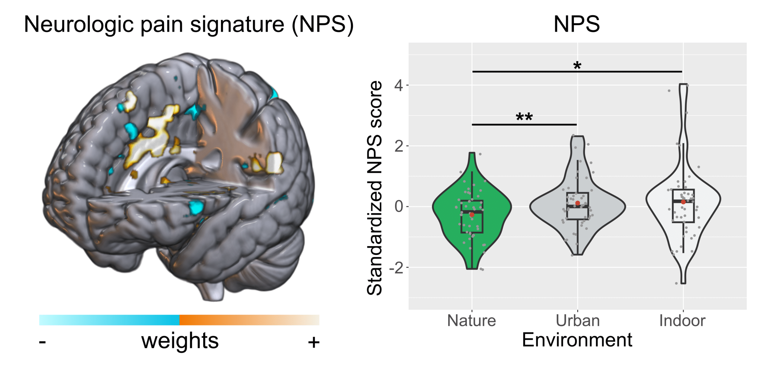A brain scan that shows neurologic pain signatures in a nature, urban, and indoor environment.