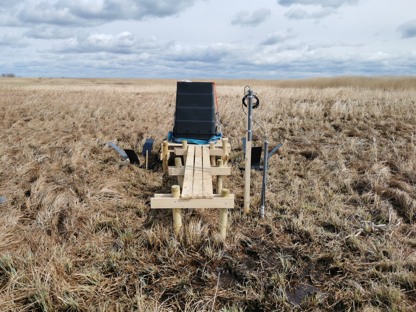 A greenhouse gas measurement setup with a black chamber and soil collars on a boardwalk in a Carex sampling site in Germany, with groundwater depth loggers visible.