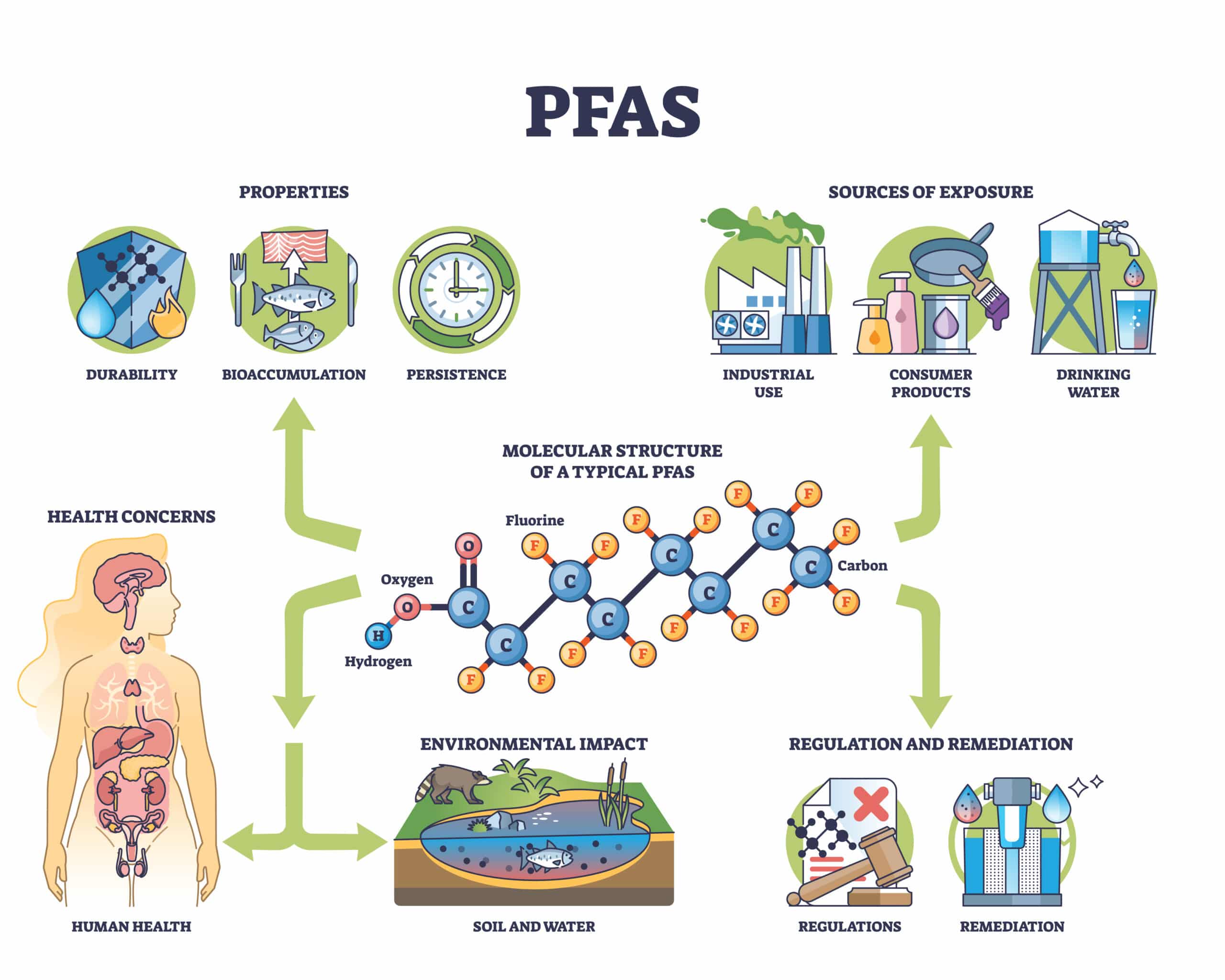 Infographic explaining PFAS: their properties, exposure sources, health risks, environmental impact, and regulations, with a central molecular diagram.